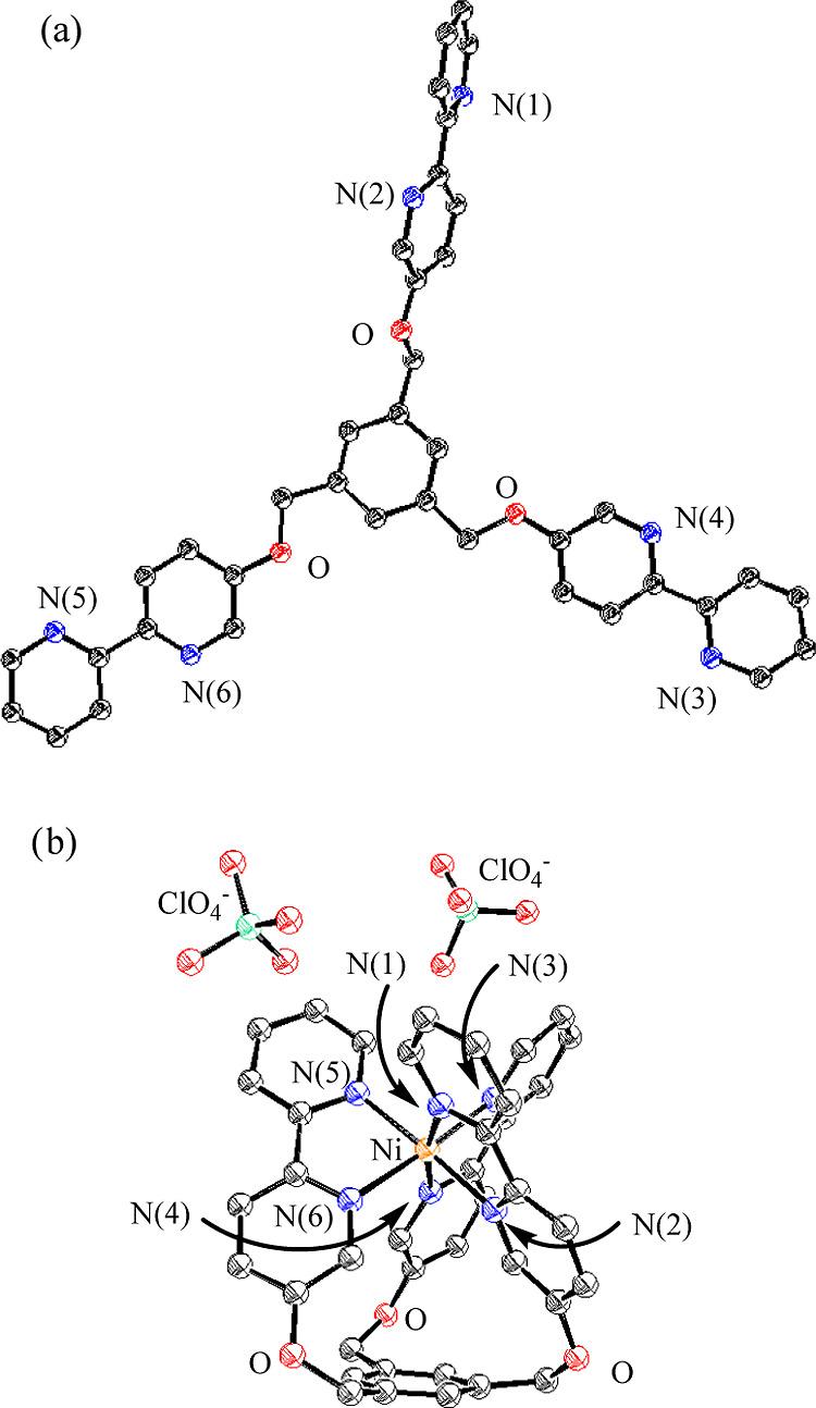 https://cdn.ncbi.nlm.nih.gov/pmc/blobs/60a7/10498496/2438f4a37801/ic3c01738_0011.jpg