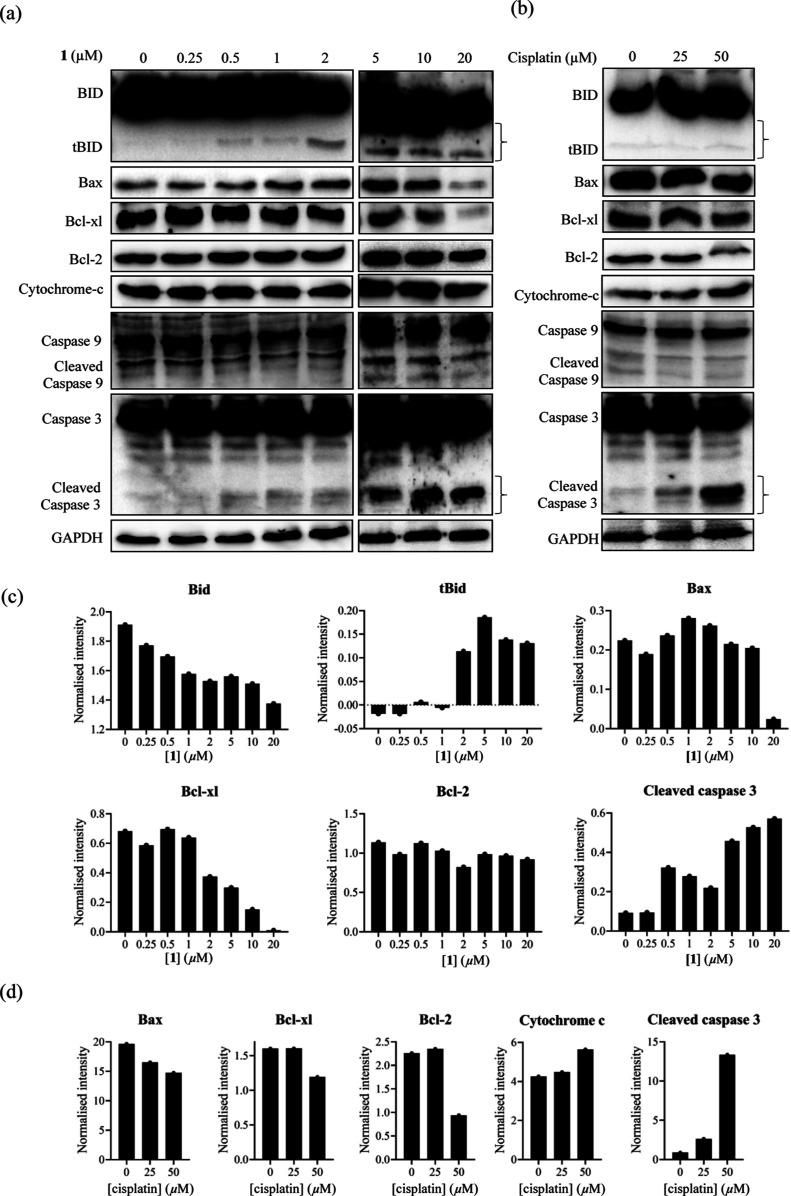https://cdn.ncbi.nlm.nih.gov/pmc/blobs/60a7/10498496/306621c8062d/ic3c01738_0005.jpg