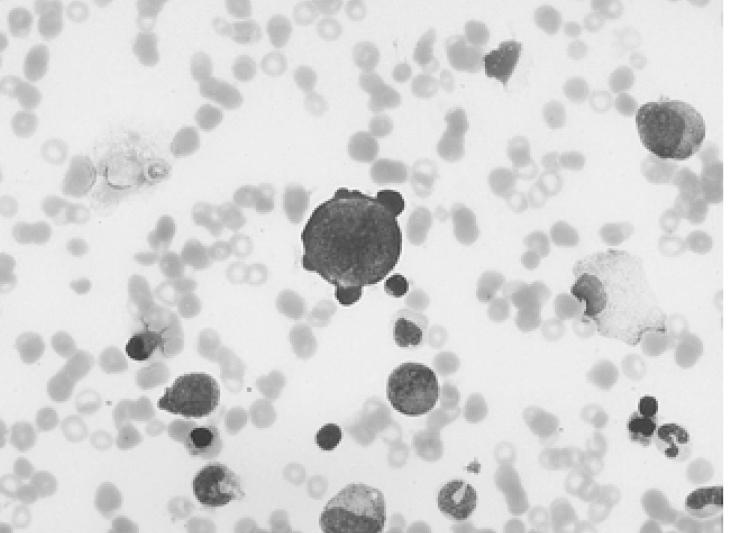 https://cdn.ncbi.nlm.nih.gov/pmc/blobs/60a8/3891423/012c6506c6fa/kjim-20-96-g002.jpg