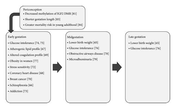https://cdn.ncbi.nlm.nih.gov/pmc/blobs/60a8/3996361/4e5124d48490/JOBE2014-204295.001.jpg