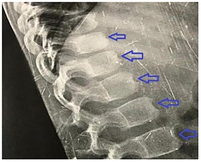 https://cdn.ncbi.nlm.nih.gov/pmc/blobs/60ac/8283316/8734429697a2/gr7.jpg