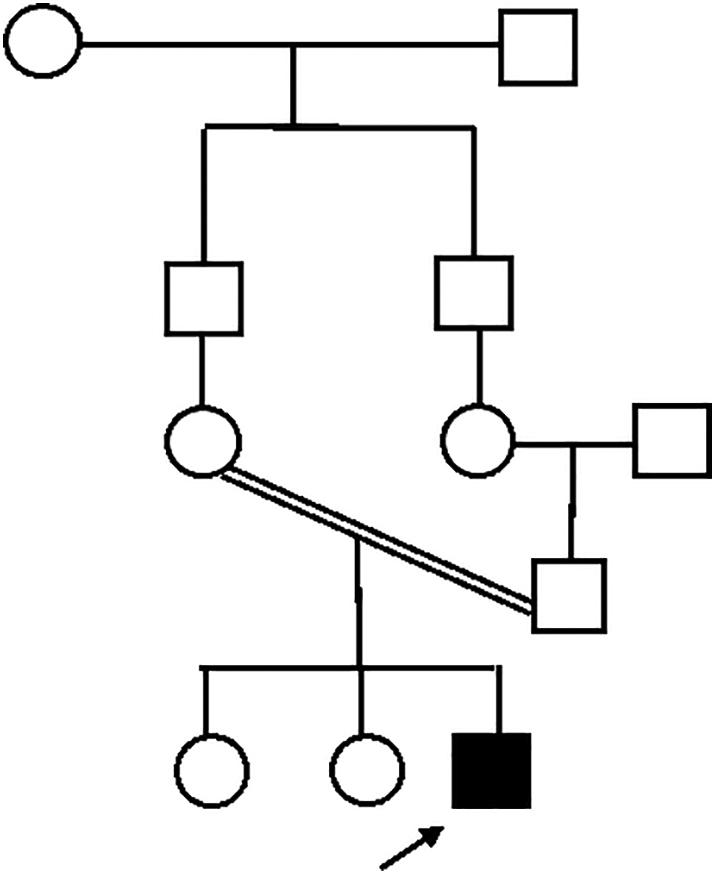 https://cdn.ncbi.nlm.nih.gov/pmc/blobs/60ac/8283316/f27a6bb66f27/gr8.jpg