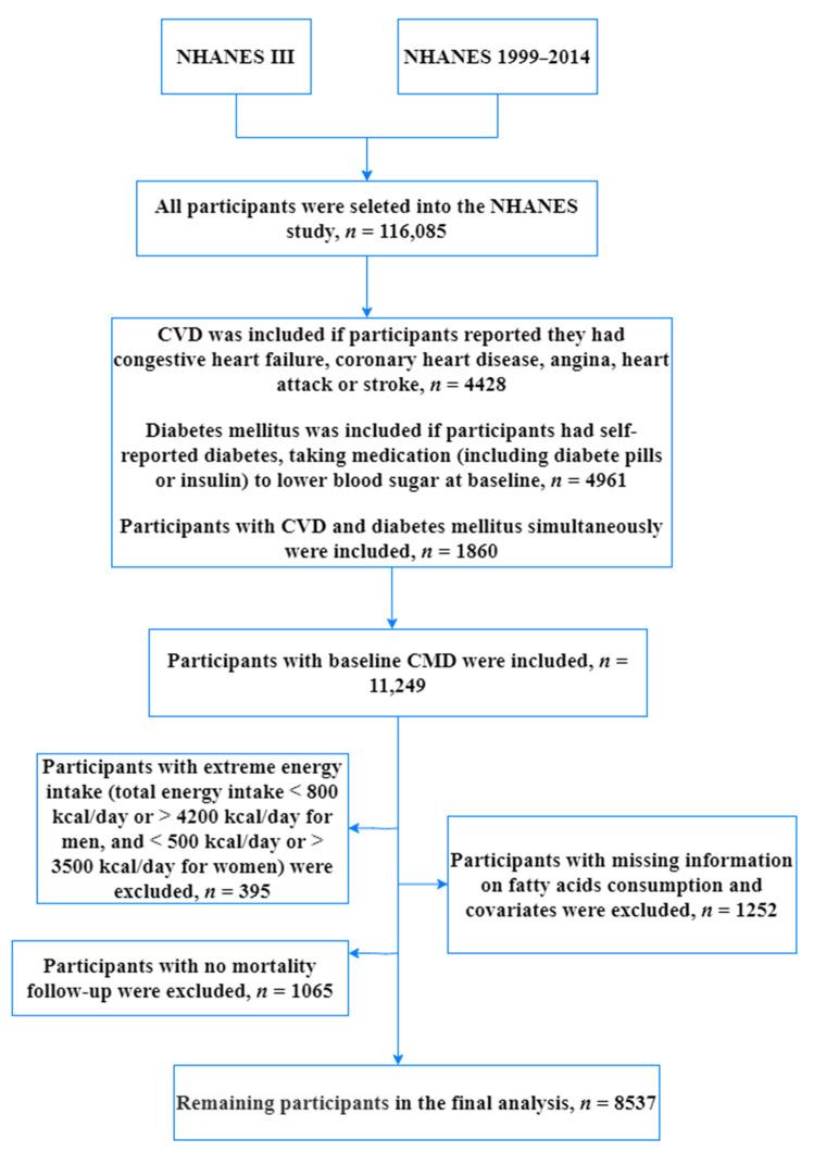 https://cdn.ncbi.nlm.nih.gov/pmc/blobs/60ac/9460477/c6d29e54314b/nutrients-14-03608-g001.jpg