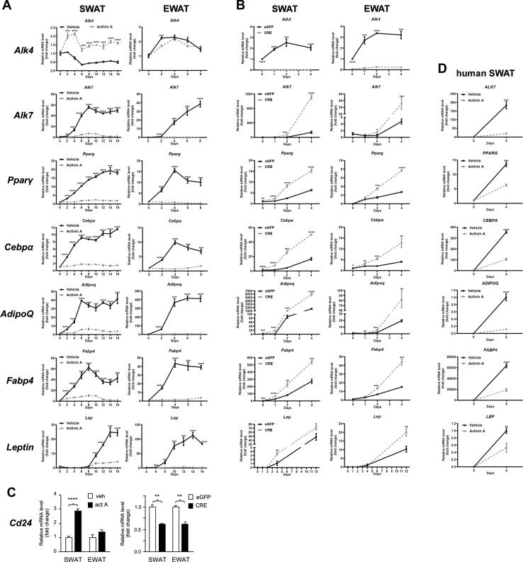 https://cdn.ncbi.nlm.nih.gov/pmc/blobs/60ac/9758429/8ef42631eafb/gr5.jpg