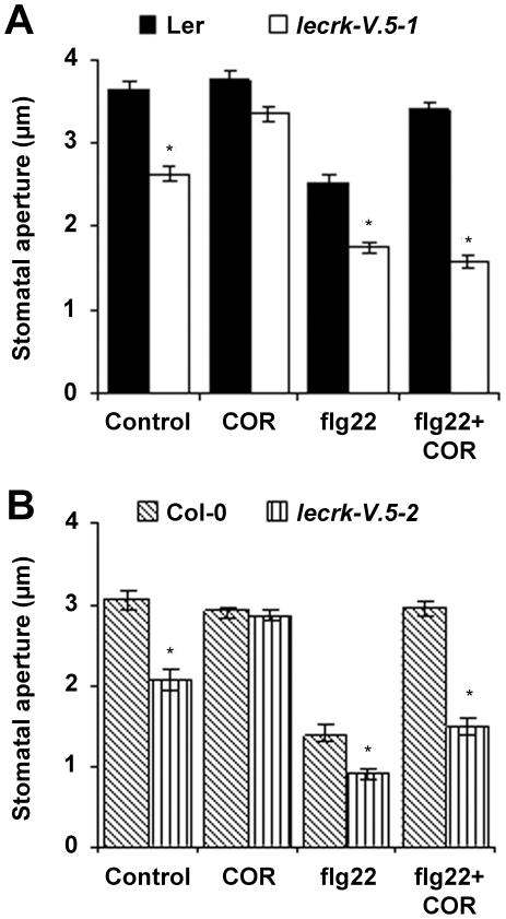 https://cdn.ncbi.nlm.nih.gov/pmc/blobs/60ad/3276567/616d6e454e20/ppat.1002513.g006.jpg