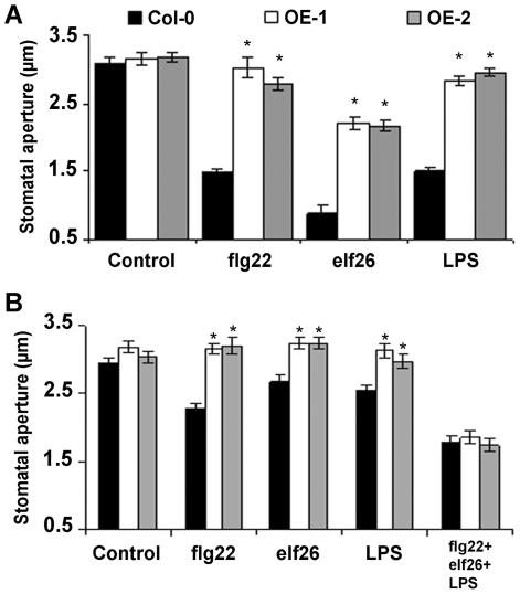 https://cdn.ncbi.nlm.nih.gov/pmc/blobs/60ad/3276567/c75f6a4f9970/ppat.1002513.g003.jpg
