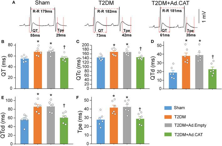 https://cdn.ncbi.nlm.nih.gov/pmc/blobs/60ae/9082497/cc125be249bd/fcvm-09-871852-g0008.jpg