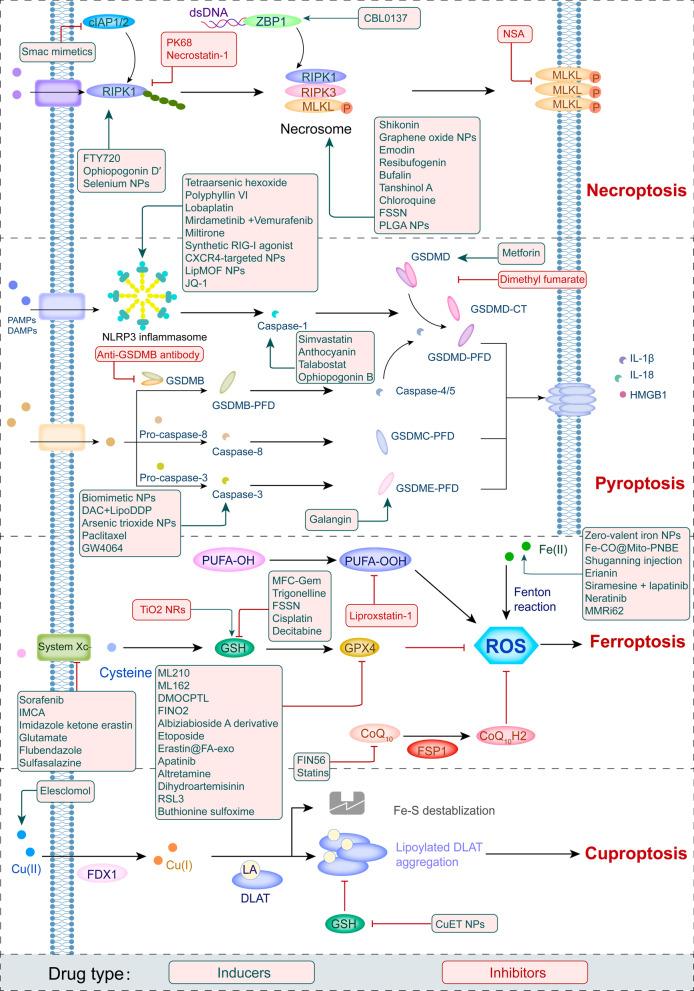 https://cdn.ncbi.nlm.nih.gov/pmc/blobs/60b2/9733270/9e06914c8dc9/13045_2022_1392_Fig6_HTML.jpg