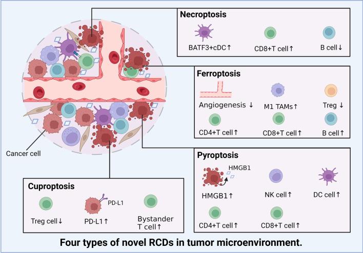 https://cdn.ncbi.nlm.nih.gov/pmc/blobs/60b2/9733270/fbe7cabeeea8/13045_2022_1392_Fig5_HTML.jpg