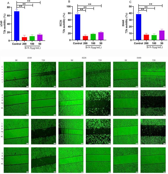 https://cdn.ncbi.nlm.nih.gov/pmc/blobs/60b3/12107193/08d789fad09b/fphar-16-1526952-g004.jpg