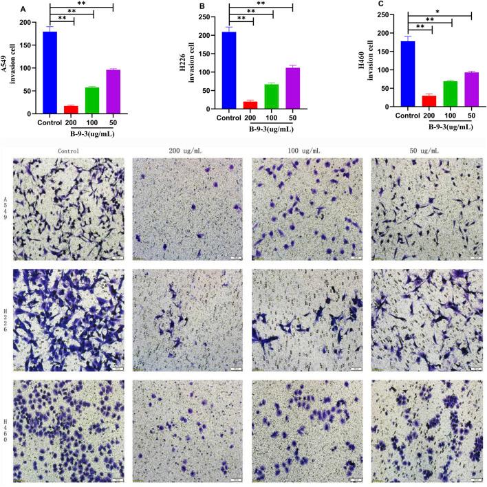 https://cdn.ncbi.nlm.nih.gov/pmc/blobs/60b3/12107193/173e5d9c9d9c/fphar-16-1526952-g005.jpg