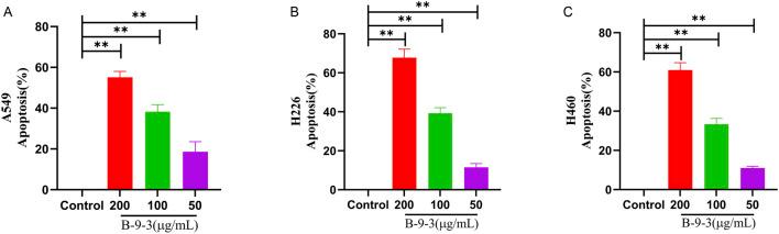 https://cdn.ncbi.nlm.nih.gov/pmc/blobs/60b3/12107193/1a137d51d183/fphar-16-1526952-g008.jpg