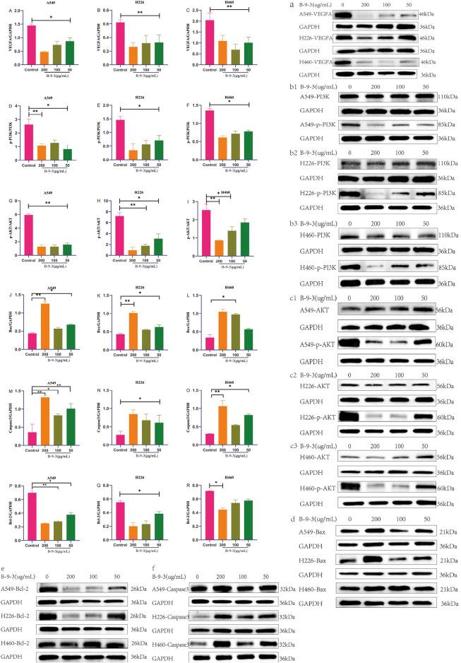 https://cdn.ncbi.nlm.nih.gov/pmc/blobs/60b3/12107193/5882ce2d6d4e/fphar-16-1526952-g012.jpg