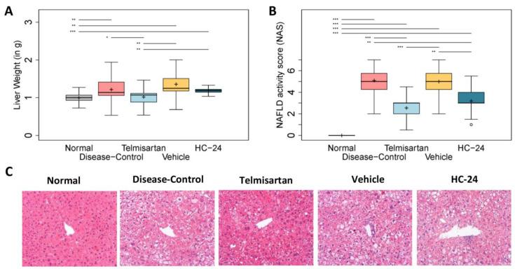 https://cdn.ncbi.nlm.nih.gov/pmc/blobs/60b7/10740479/39696c8e8efa/biomedicines-11-03216-g003.jpg