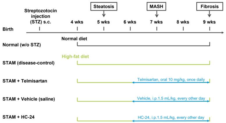 https://cdn.ncbi.nlm.nih.gov/pmc/blobs/60b7/10740479/a47012f98ef6/biomedicines-11-03216-g001.jpg