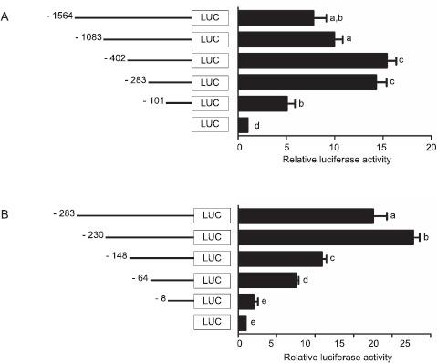 https://cdn.ncbi.nlm.nih.gov/pmc/blobs/60b7/6702783/19e357e5e890/biolreprod-94-6-0120-fig-003.jpg