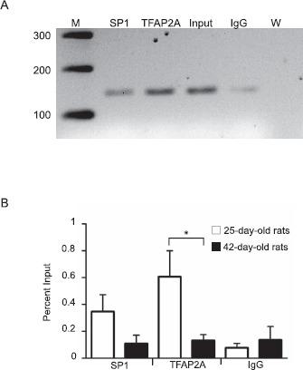 https://cdn.ncbi.nlm.nih.gov/pmc/blobs/60b7/6702783/5dea84d8816c/biolreprod-94-6-0120-fig-005.jpg