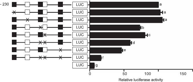 https://cdn.ncbi.nlm.nih.gov/pmc/blobs/60b7/6702783/7475b6013837/biolreprod-94-6-0120-fig-004.jpg