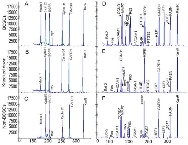 https://cdn.ncbi.nlm.nih.gov/pmc/blobs/60b8/3251542/2478b9d678db/1479-5876-9-209-4.jpg