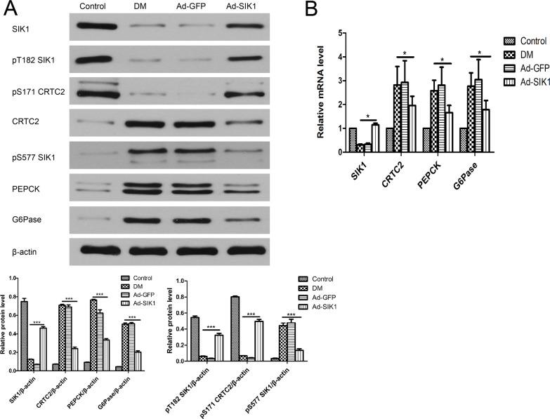 https://cdn.ncbi.nlm.nih.gov/pmc/blobs/60b9/6590778/2313bd2887af/pone.0210930.g004.jpg