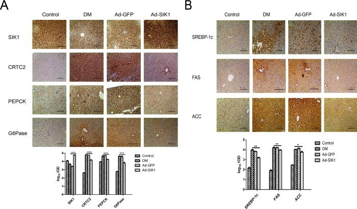 https://cdn.ncbi.nlm.nih.gov/pmc/blobs/60b9/6590778/f138188a0829/pone.0210930.g003.jpg