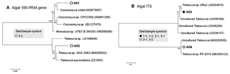 https://cdn.ncbi.nlm.nih.gov/pmc/blobs/60ba/6681027/8e84a5f58e22/microorganisms-07-00203-g004.jpg