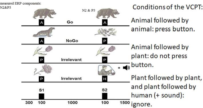 https://cdn.ncbi.nlm.nih.gov/pmc/blobs/60bb/10986938/9f47cfa7254f/ADB-29-e13391-g001.jpg