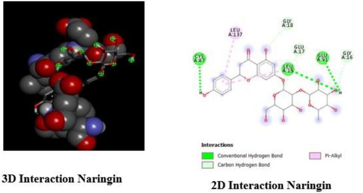 https://cdn.ncbi.nlm.nih.gov/pmc/blobs/60bc/11222415/35c21bdebc94/41598_2024_63498_Fig5_HTML.jpg