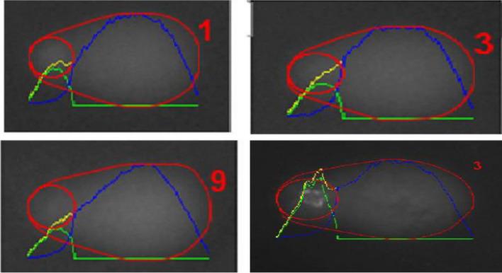 https://cdn.ncbi.nlm.nih.gov/pmc/blobs/60bc/11222415/58b07a421bfd/41598_2024_63498_Fig13_HTML.jpg