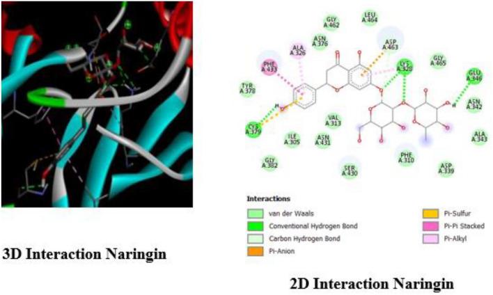 https://cdn.ncbi.nlm.nih.gov/pmc/blobs/60bc/11222415/eb6472d065f8/41598_2024_63498_Fig6_HTML.jpg