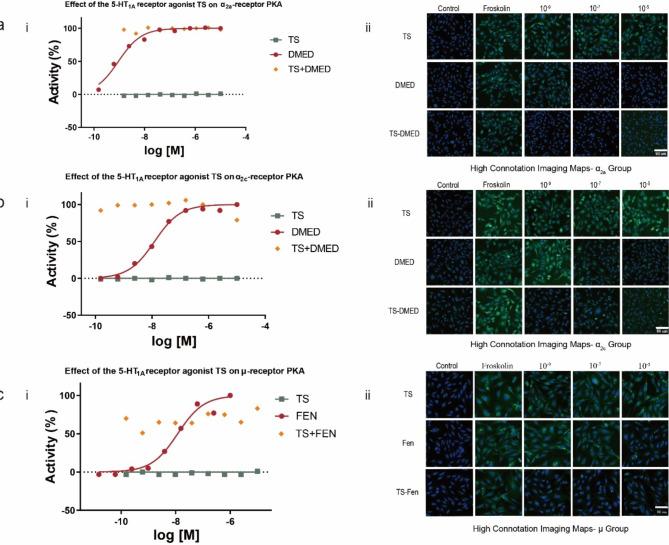 https://cdn.ncbi.nlm.nih.gov/pmc/blobs/60bd/11698729/ebe1e34507a6/41598_2024_84440_Fig4_HTML.jpg