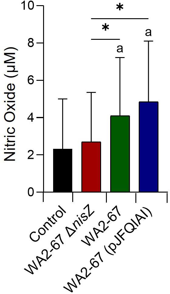 https://cdn.ncbi.nlm.nih.gov/pmc/blobs/60bf/10159052/143e321dac28/fimmu-14-1178462-g007.jpg