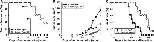 https://cdn.ncbi.nlm.nih.gov/pmc/blobs/60c2/11030085/f01ef0dd3254/262_2010_903_Fig5_HTML.jpg