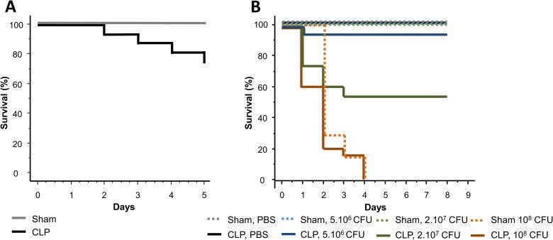 https://cdn.ncbi.nlm.nih.gov/pmc/blobs/60c2/5004855/4000d7a77f16/pone.0162109.g005.jpg