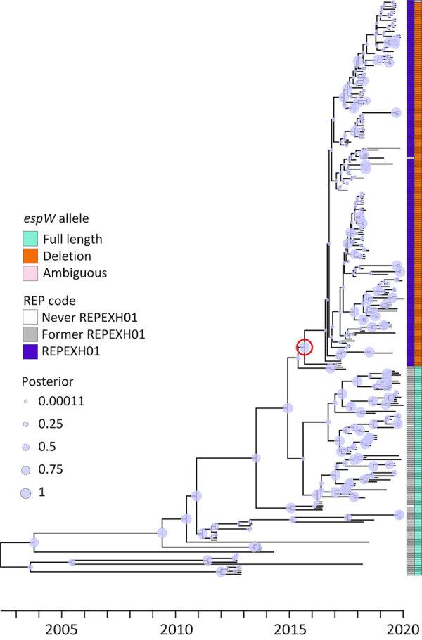 https://cdn.ncbi.nlm.nih.gov/pmc/blobs/60c4/12078548/0795d1094be8/24-0686-F1.jpg