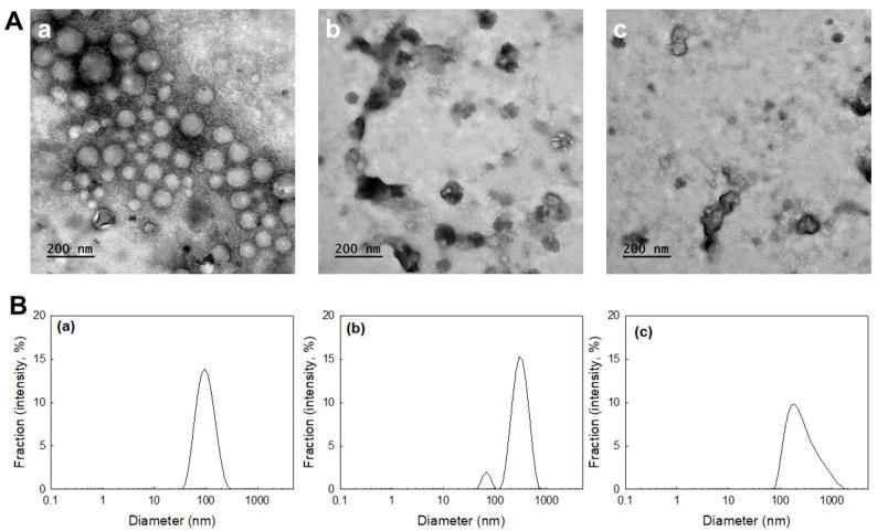 https://cdn.ncbi.nlm.nih.gov/pmc/blobs/60c5/10531032/45d5e07189a6/ijms-24-13704-g004.jpg