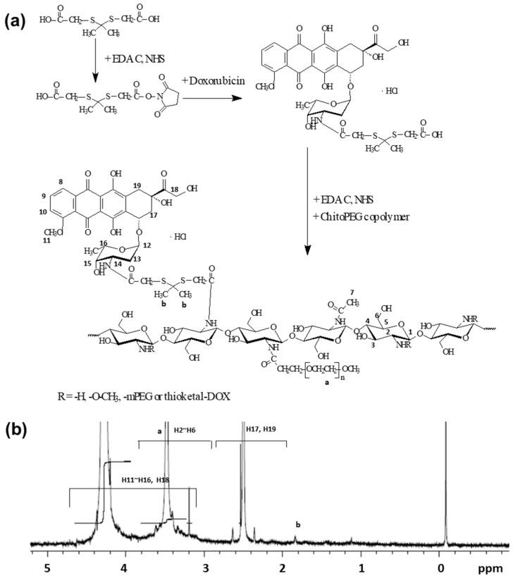 https://cdn.ncbi.nlm.nih.gov/pmc/blobs/60c5/10531032/8294ec5a2d06/ijms-24-13704-g003.jpg