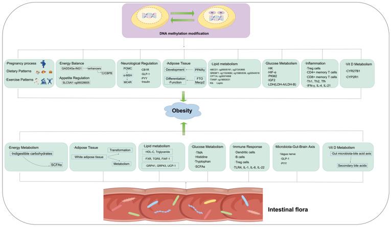 https://cdn.ncbi.nlm.nih.gov/pmc/blobs/60c9/11351752/29c626a6a44a/biomedicines-12-01633-g003.jpg