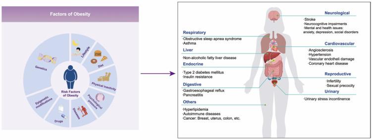 https://cdn.ncbi.nlm.nih.gov/pmc/blobs/60c9/11351752/ffc089f264e1/biomedicines-12-01633-g001.jpg