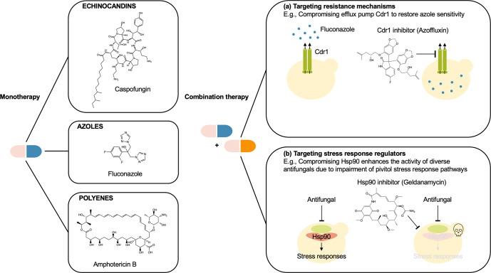https://cdn.ncbi.nlm.nih.gov/pmc/blobs/60ca/11721396/de092bd8290a/44259_2023_7_Fig3_HTML.jpg