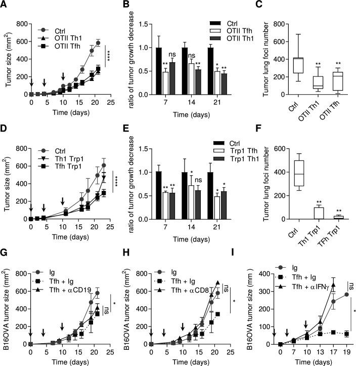 https://cdn.ncbi.nlm.nih.gov/pmc/blobs/60ca/8190041/5ea0906d8209/jitc-2020-002157f01.jpg