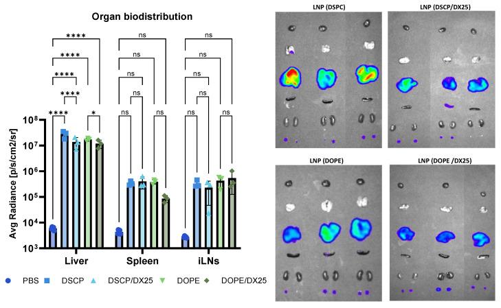 https://cdn.ncbi.nlm.nih.gov/pmc/blobs/60cb/11508592/00ec97e14531/ijms-25-11254-g012.jpg