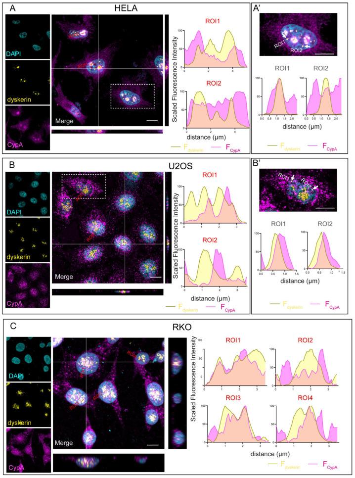 https://cdn.ncbi.nlm.nih.gov/pmc/blobs/60cc/10531313/926c8757a0fa/genes-14-01766-g001.jpg