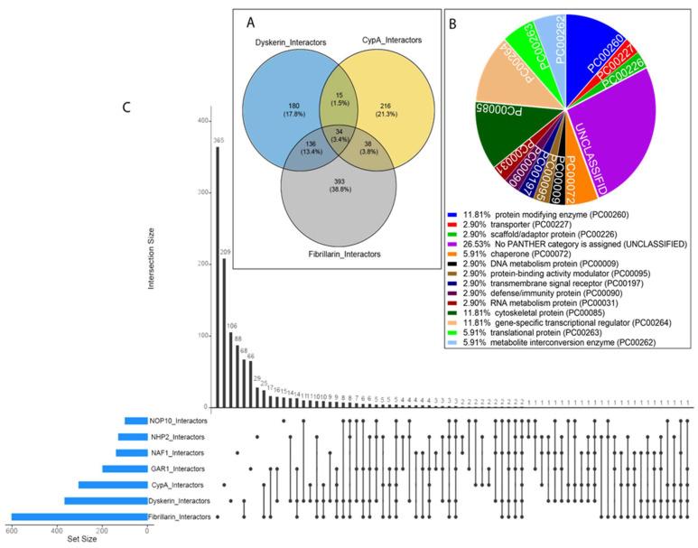https://cdn.ncbi.nlm.nih.gov/pmc/blobs/60cc/10531313/c1a40d8a3753/genes-14-01766-g004.jpg