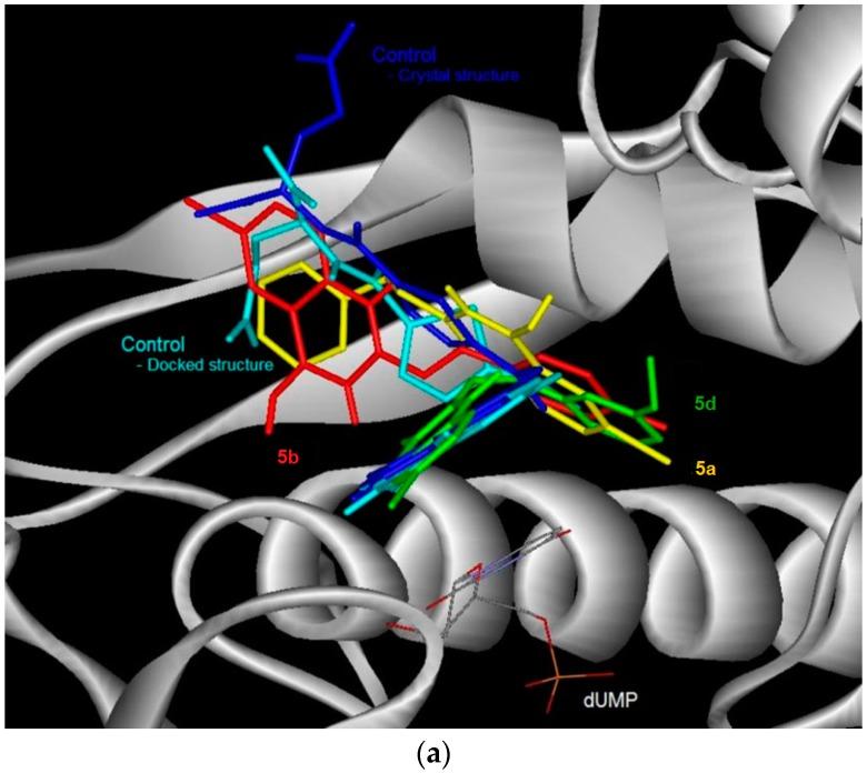 https://cdn.ncbi.nlm.nih.gov/pmc/blobs/60cc/6274206/0799a88381ed/molecules-21-00028-g003a.jpg