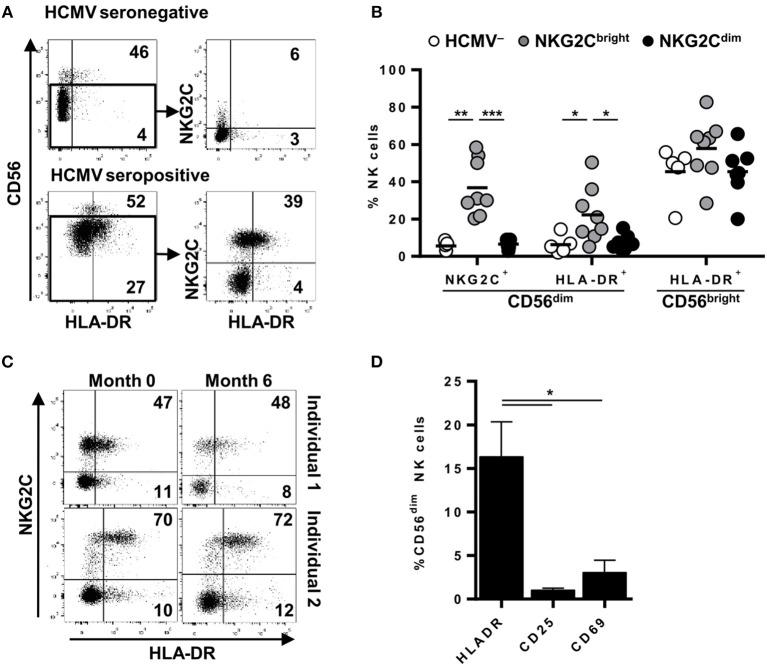 https://cdn.ncbi.nlm.nih.gov/pmc/blobs/60cc/6456717/1ea007a706de/fimmu-10-00687-g0001.jpg