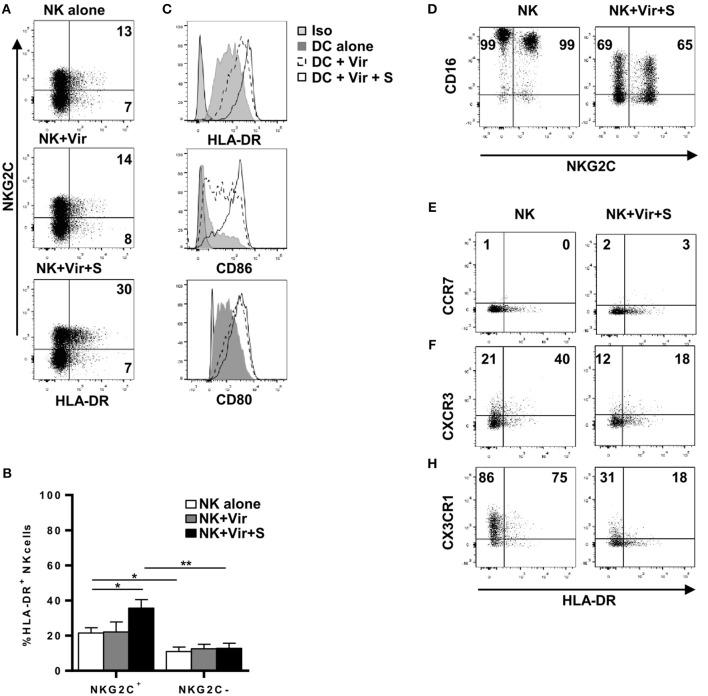 https://cdn.ncbi.nlm.nih.gov/pmc/blobs/60cc/6456717/336ce0fc3054/fimmu-10-00687-g0003.jpg