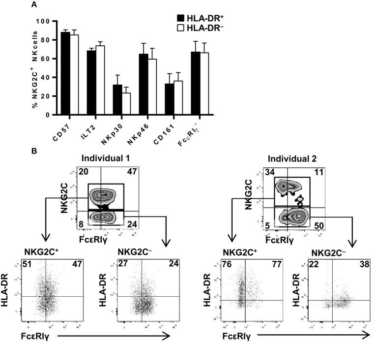 https://cdn.ncbi.nlm.nih.gov/pmc/blobs/60cc/6456717/c4595603d5a6/fimmu-10-00687-g0002.jpg