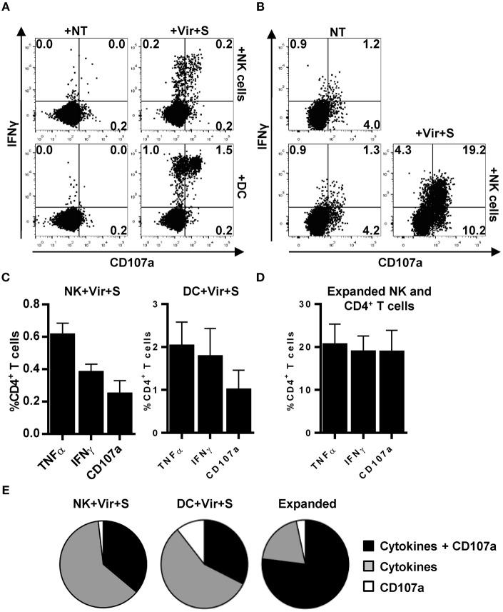 https://cdn.ncbi.nlm.nih.gov/pmc/blobs/60cc/6456717/cc6fcfa2239b/fimmu-10-00687-g0007.jpg