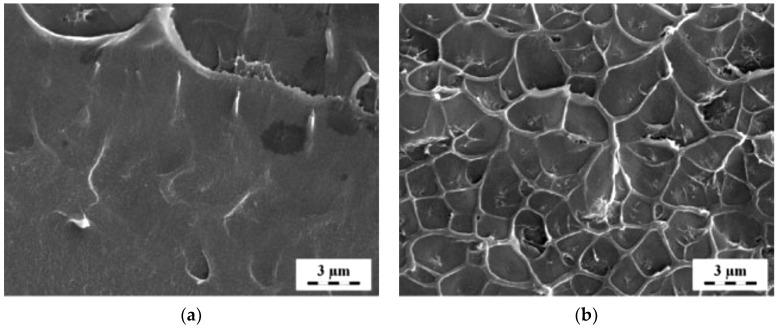 https://cdn.ncbi.nlm.nih.gov/pmc/blobs/60cd/7663180/28bc9c5a5696/molecules-25-04934-g003a.jpg